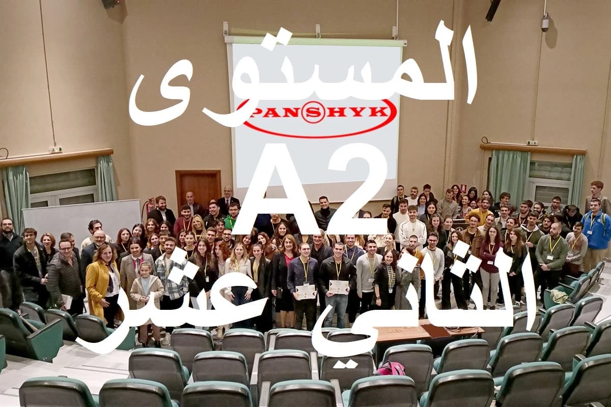 المستوى الثاني عشر